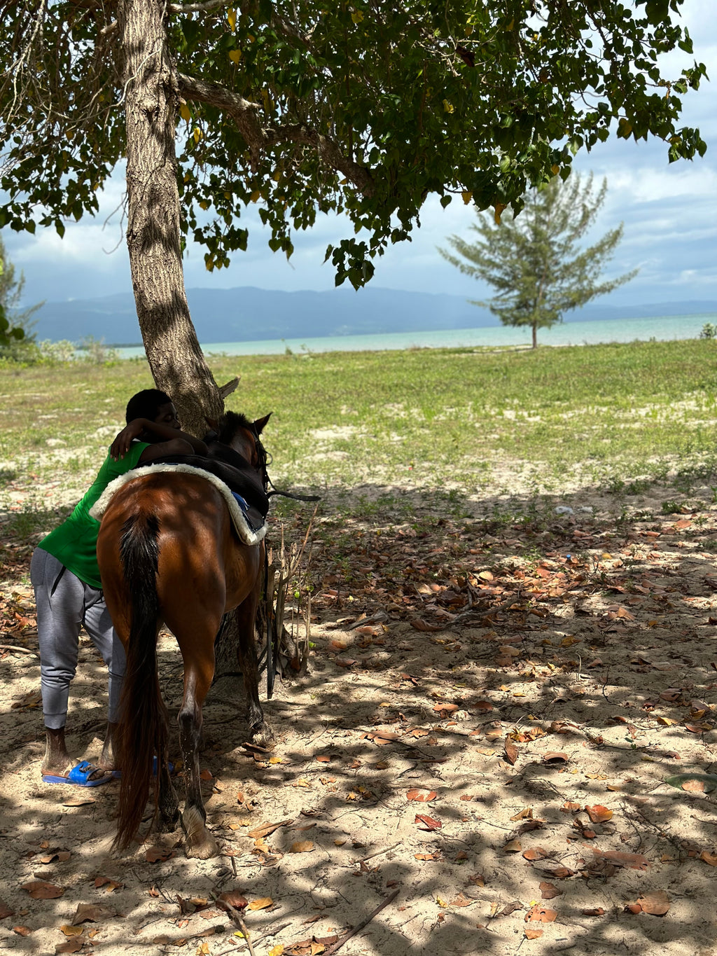 Summer 40 | Negril, Jamaica | Aug 11–15, 2027
