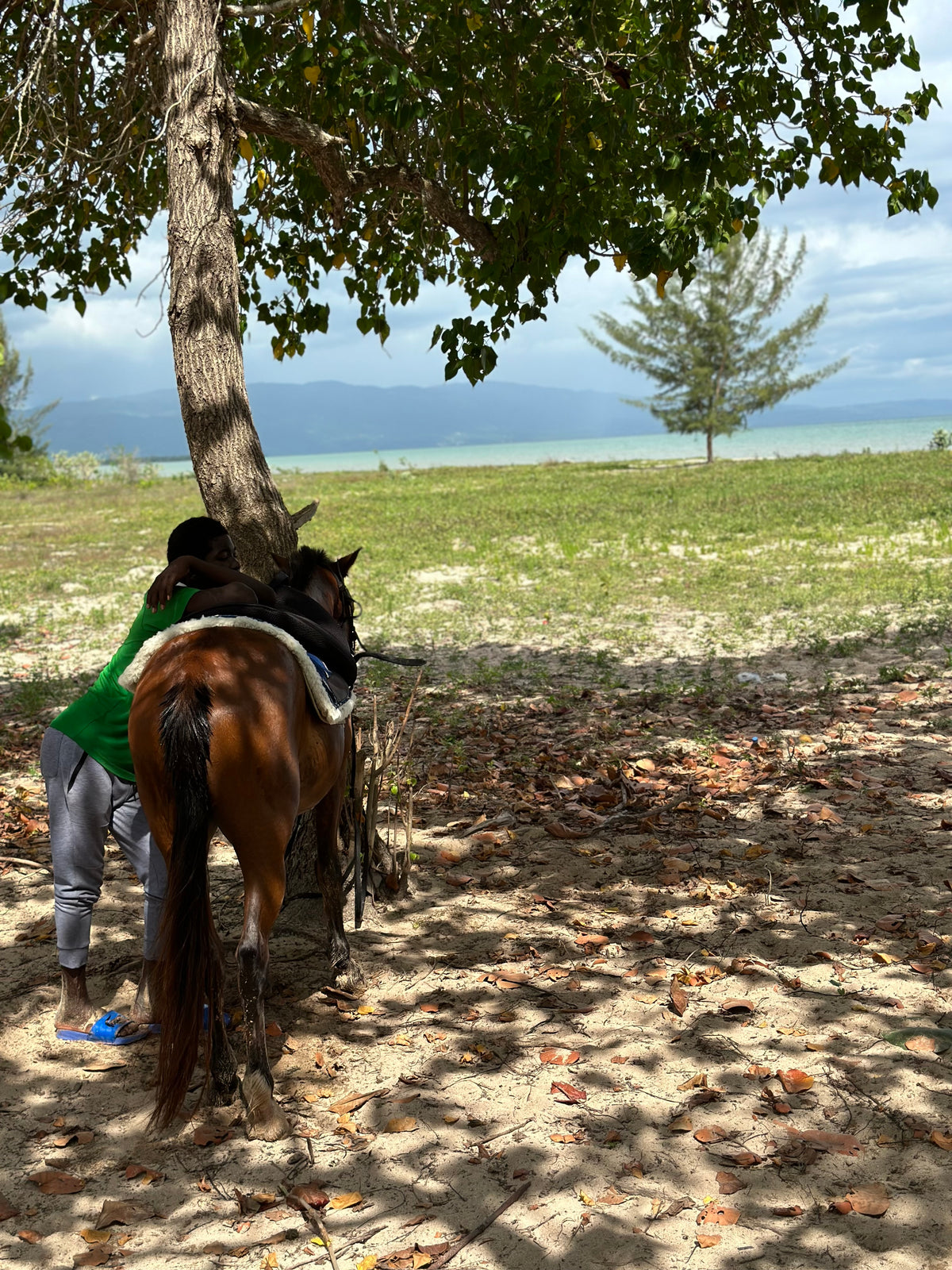 Summer 40 | Negril, Jamaica | Aug 11–15, 2027
