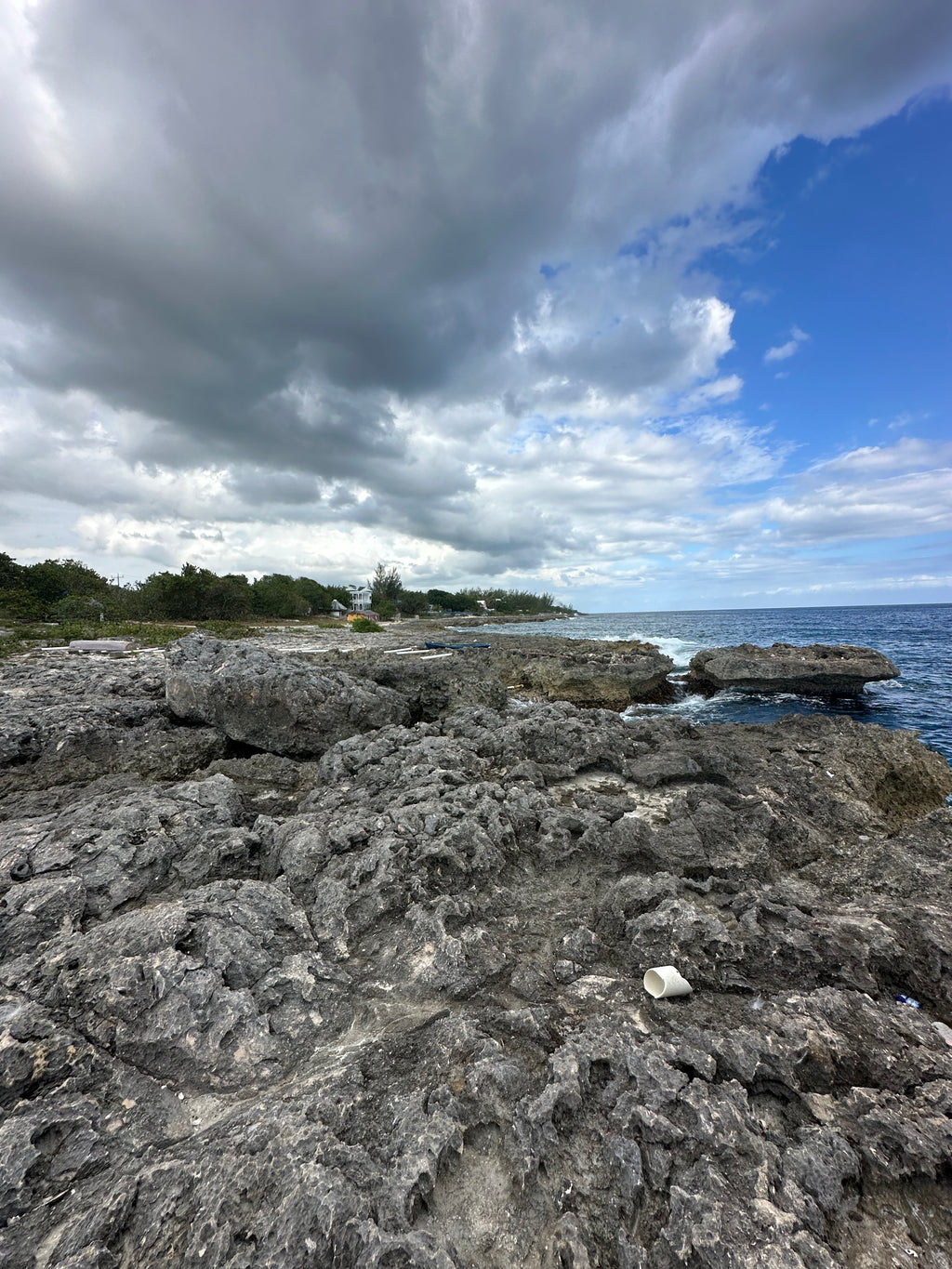 Summer 40 | Negril, Jamaica | Aug 11–15, 2027
