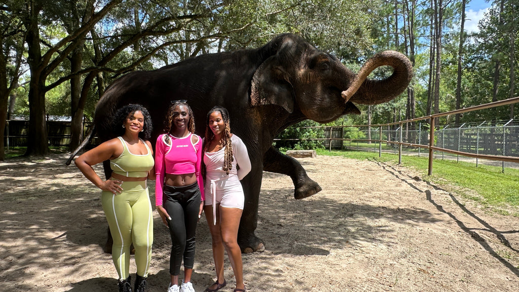 Adventure Flow | Paddleboard + Horseback Riding | Ocala, FL | Dec 12, 2026