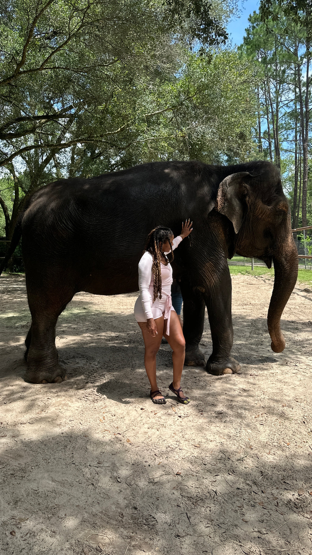 Adventure Flow | Paddleboard + Horseback Riding | Ocala, FL | Dec 12, 2026