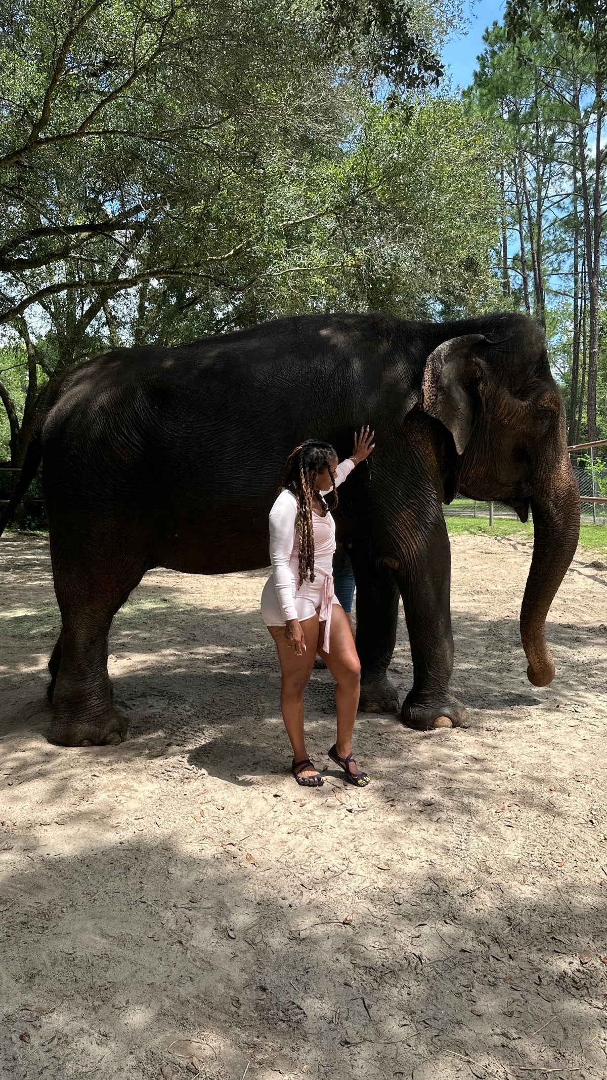 Adventure Flow | Paddleboard + Horseback Riding | Ocala, FL | Dec 12, 2026