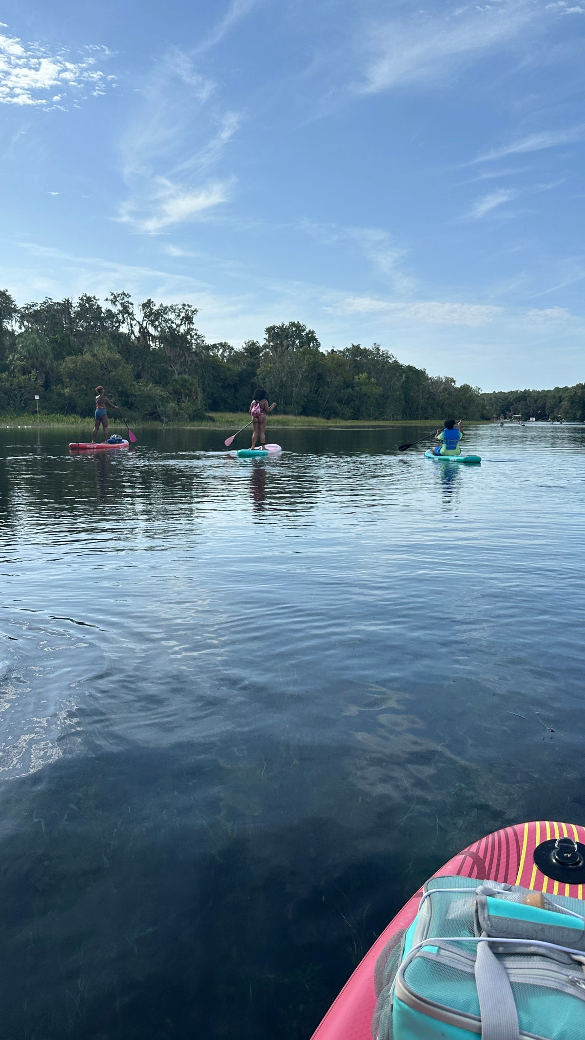 Adventure Flow | Paddleboard + Horseback Riding | Ocala, FL | Dec 12, 2026