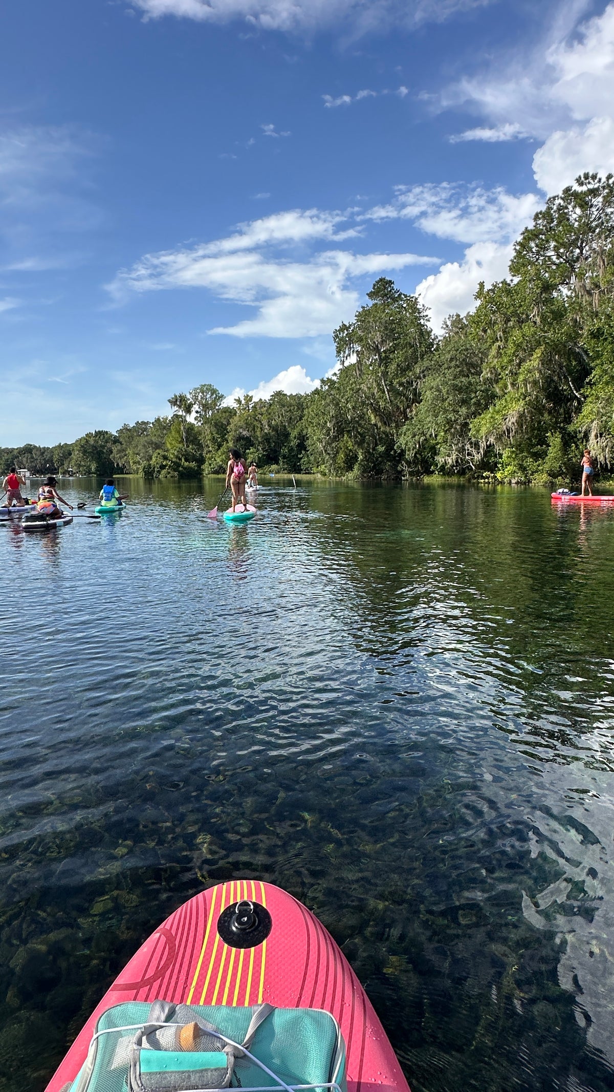 Adventure Flow | Paddleboard + Horseback Riding | Ocala, FL | Dec 12, 2026