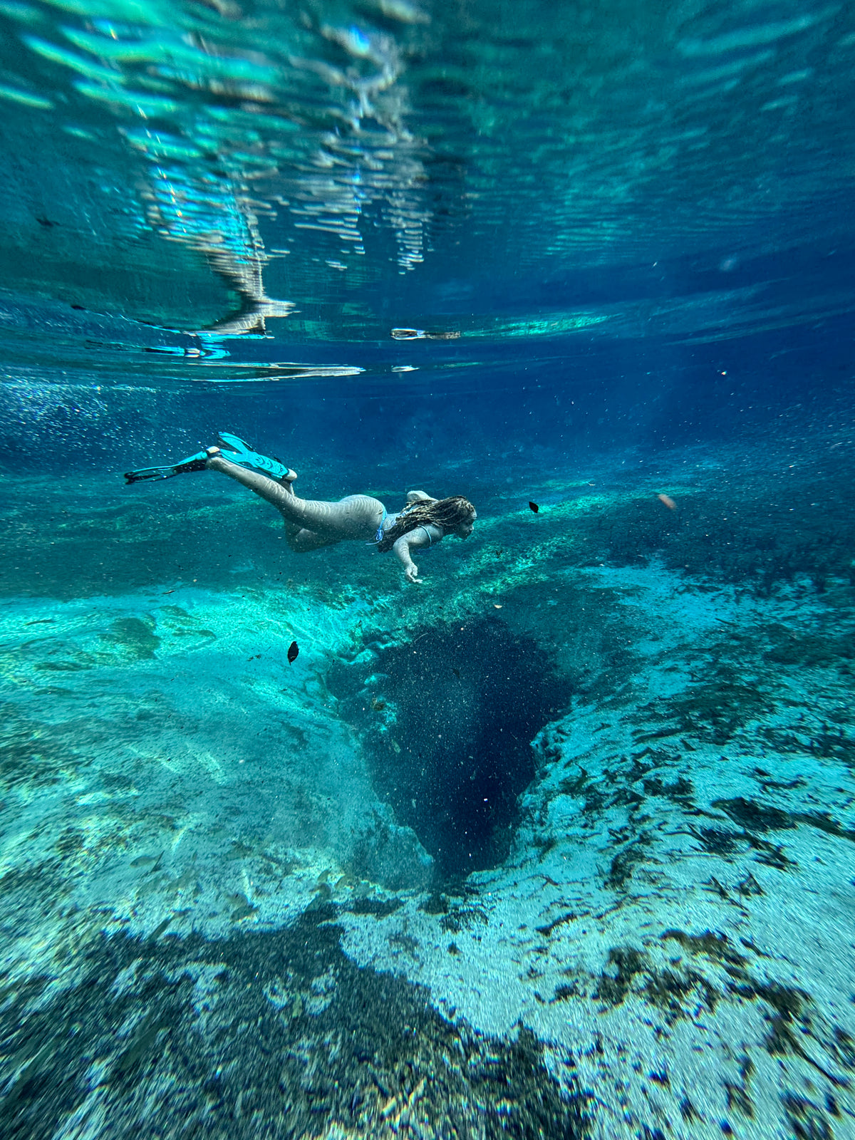 Adventure Flow | Paddleboard + Horseback Riding | Ocala, FL | Dec 12, 2026