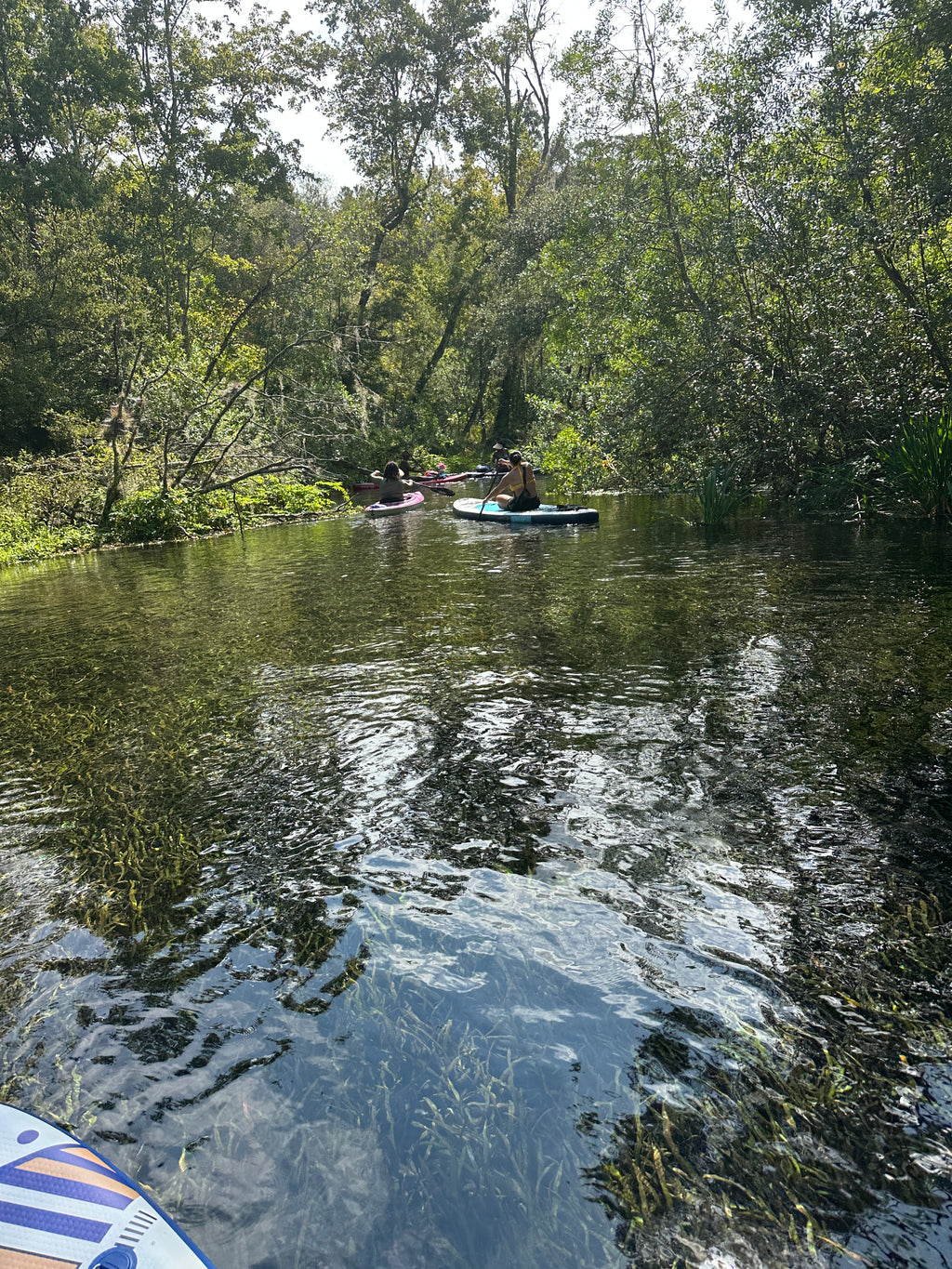 Adventure Flow | Paddleboard + Horseback Riding | Ocala, FL | Dec 12, 2026