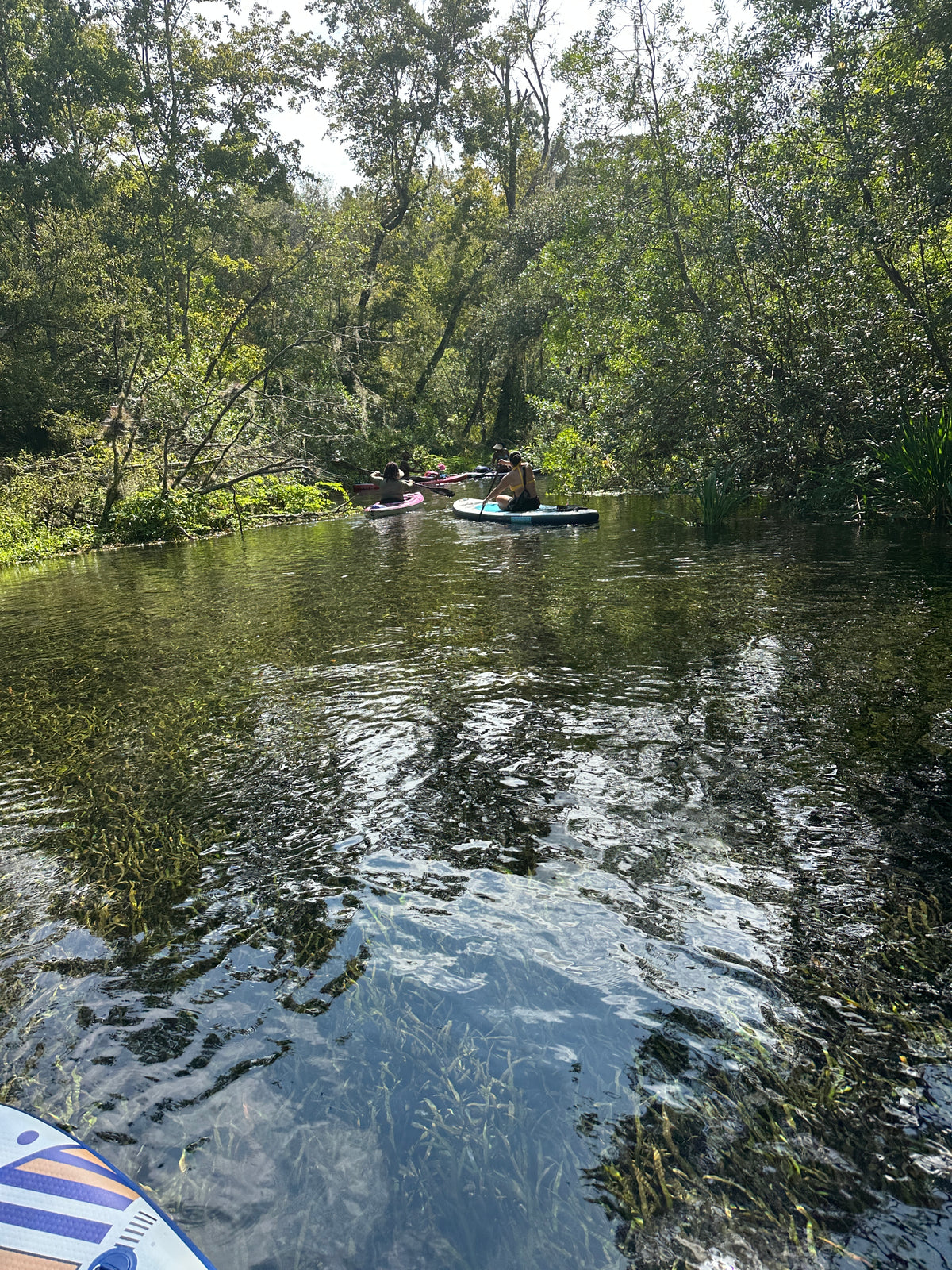 Adventure Flow | Paddleboard + Horseback Riding | Ocala, FL | Dec 12, 2026