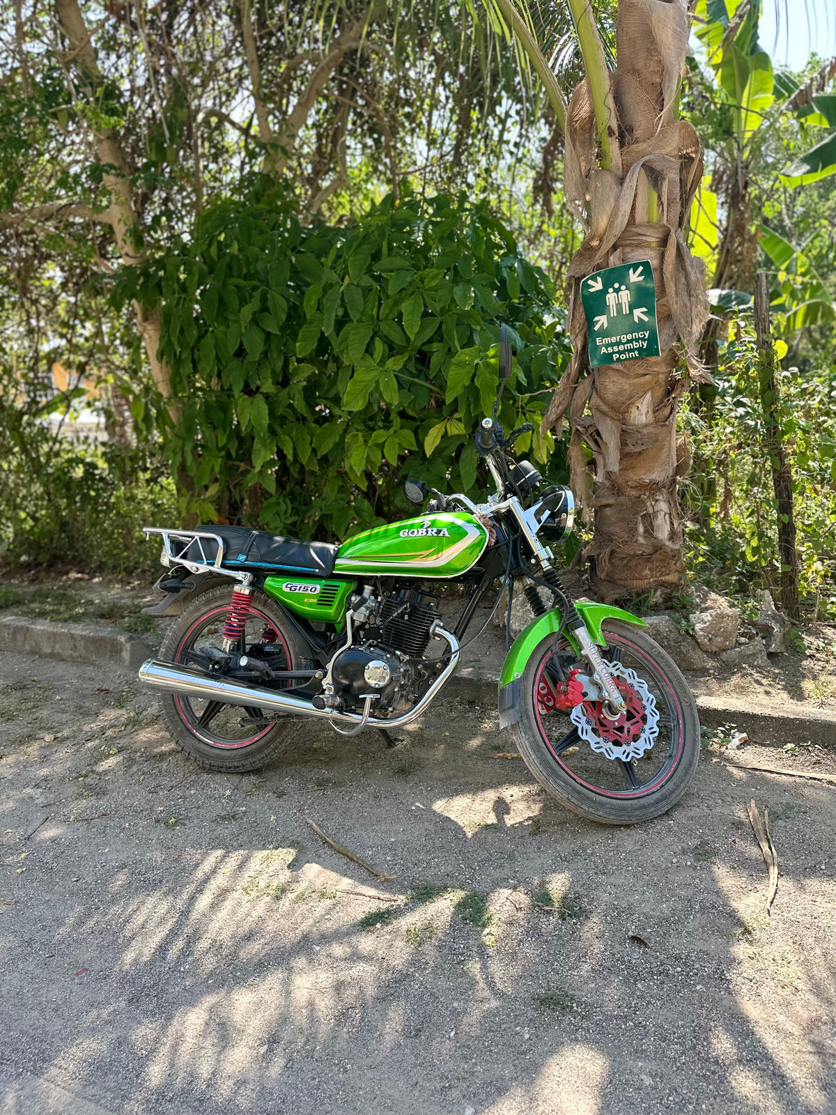 Summer 40 | Negril, Jamaica | Aug 11–15, 2027