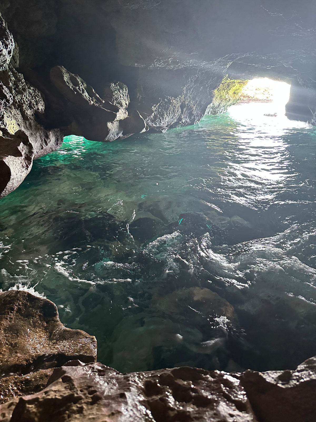 Summer 40 | Negril, Jamaica | Aug 11–15, 2027
